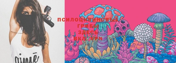 стаф Елизово
