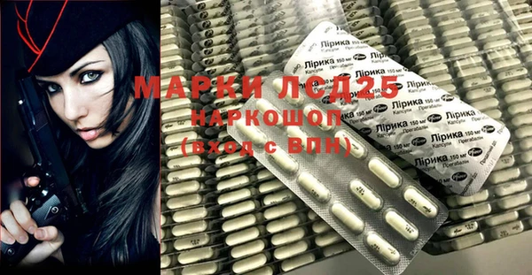 гашик Ельня