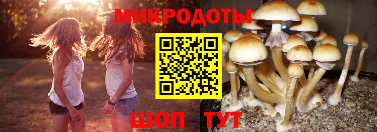 Лиски  Псилоцибиновые грибы мухоморы  Вход с VPN 